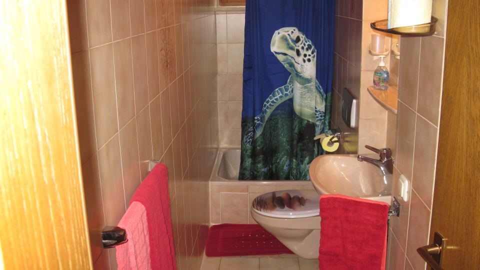 Ferienwohnung 1: Badezimmer mit Dusche